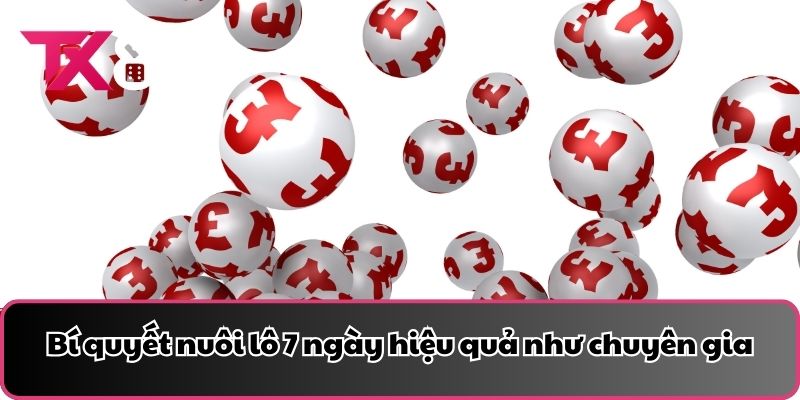 Bí quyết nuôi lô 7 ngày hiệu quả như chuyên gia