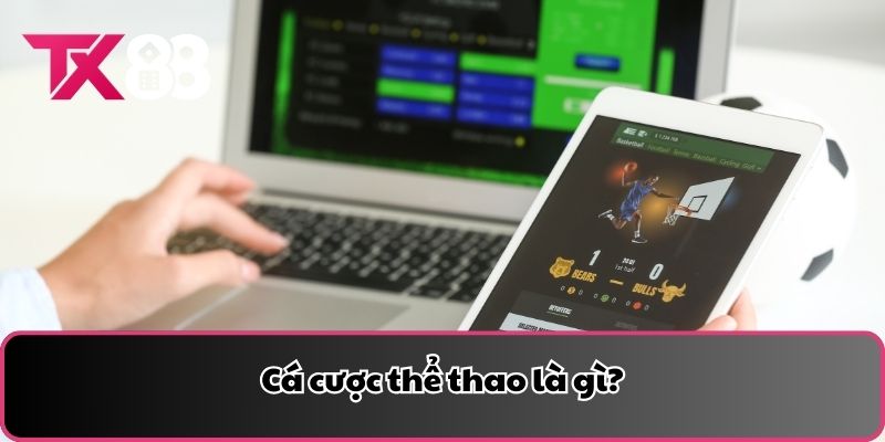 Cá cược thể thao là gì?