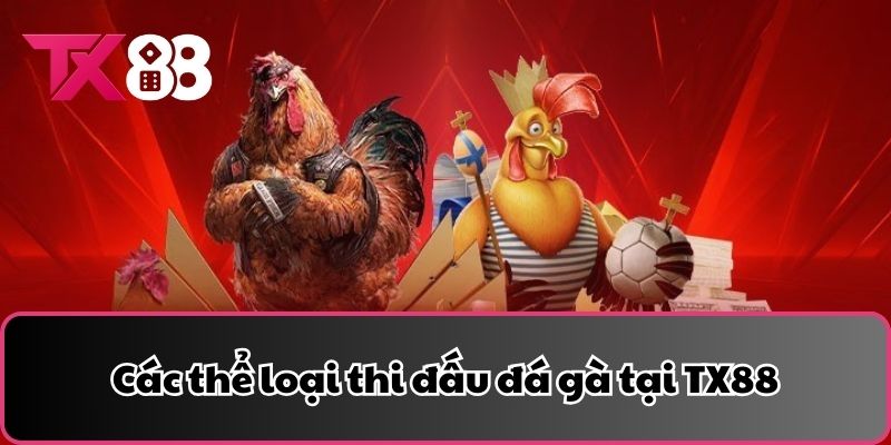 Các thể loại thi đấu đá gà tại TX88