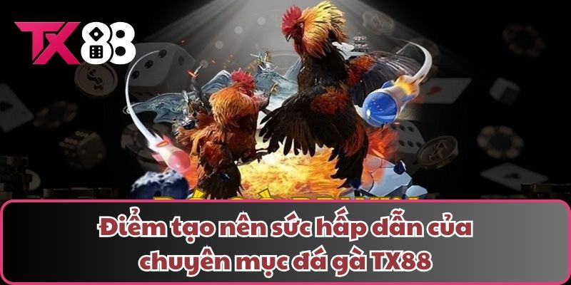 Điểm tạo nên sức hấp dẫn của chuyên mục đá gà TX88