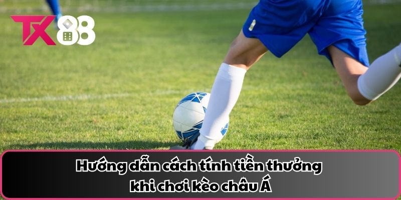 Hướng dẫn cách tính tiền thưởng khi chơi kèo châu Á